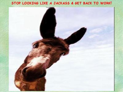 R U Lucky Or Not