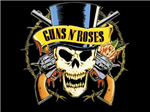 Que Tanto Sabes De Guns N Roses?