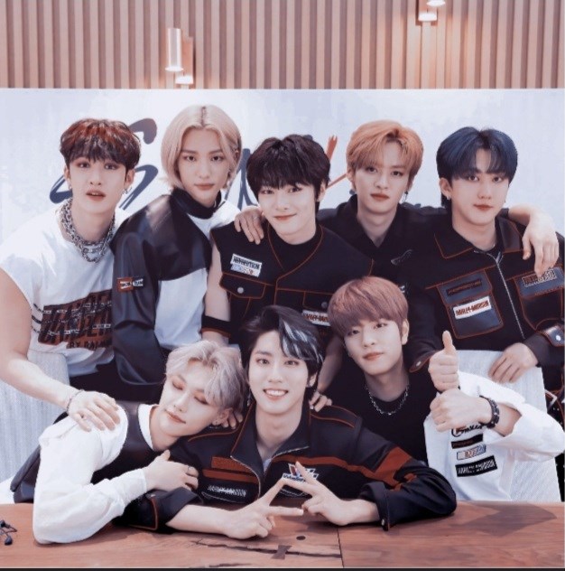 Hangi Stray kids üyesinin ideal tipisin