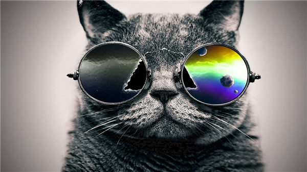 Wie Cool Bist Du?