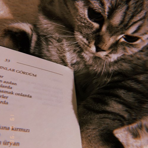 EĞLENCEEEEE✌️✨️