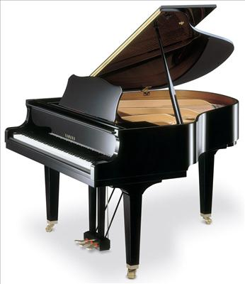 Alat Musik Apa Yg Cocok Buat Lu.........!