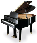 Alat Musik Apa Yg Cocok Buat Lu.........!