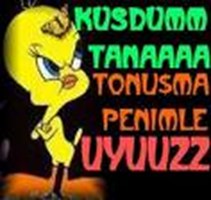 Akif I Ne Kadar Tanıyorsun ?