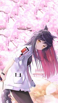 Siapakah Kekasihmu Di Anime