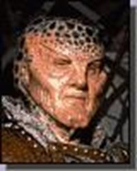 Do You Qualify As A Memeber Of Clan Archipelago?
