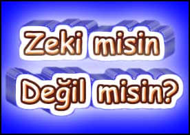 Akîllimisin Değilmisin