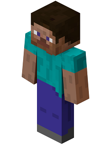 Hangi Minecraft Karakerisin Test