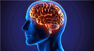 Test De Inteligencia
