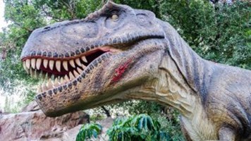 Que Dinosaurio Eres