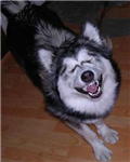 More Things To Make You Smile