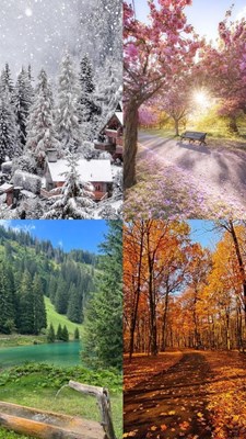 ¿Que estacion del año sos? ❄☀🍂🌷