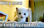 Funny Things