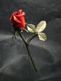 Chance Of A Relationship
