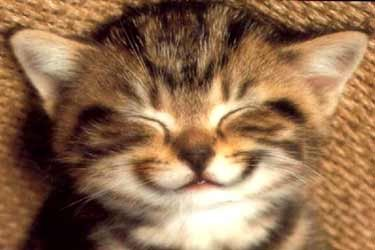 Happy Or Sad