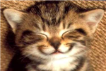 Happy Or Sad