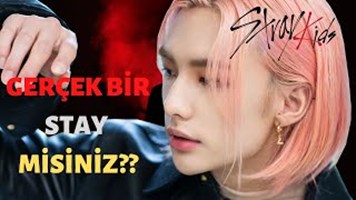 Gerçek Bir Stay Mısın