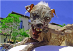 T'es Moche? Ou Plutot Moche?