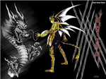 Saint Seiya Pro