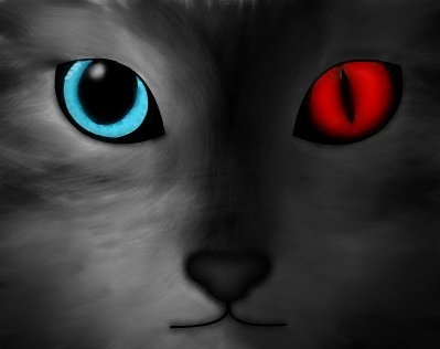 Good Or Bad Cat?