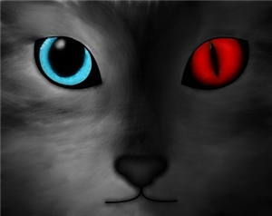 Good Or Bad Cat?