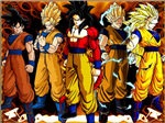 Dragonball Test