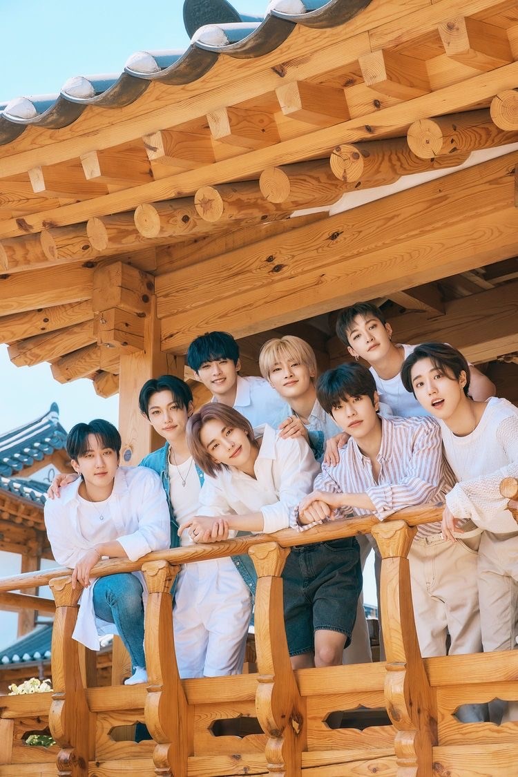 Stray Kids Bias’In Kim ???