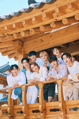 Stray Kids Bias’In Kim ???