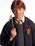 Harry Potter' Da Hangi Karaktersiniz?