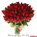 Rose A God's Gift