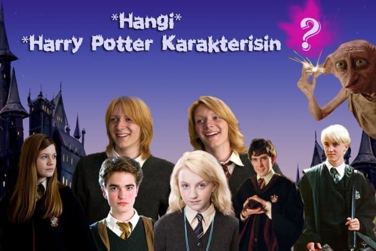 Hangi Harry Potter Karakterisin