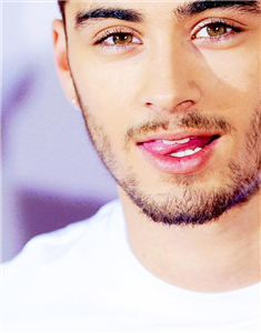 Puedes Ser Novia De Zayn?