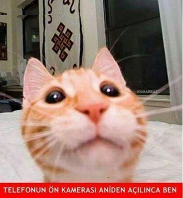 Lili Esto