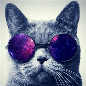 Que Tan Cool Eres?