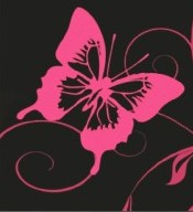 Hot Pink Or Black