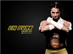 Cm Punk Vs Jeff Hardy