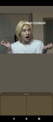 Hangi straykids üyesinin sevgilisisin