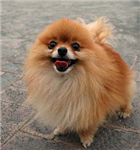 Cute Or Hideous....