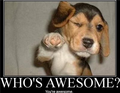 Are You Awesome