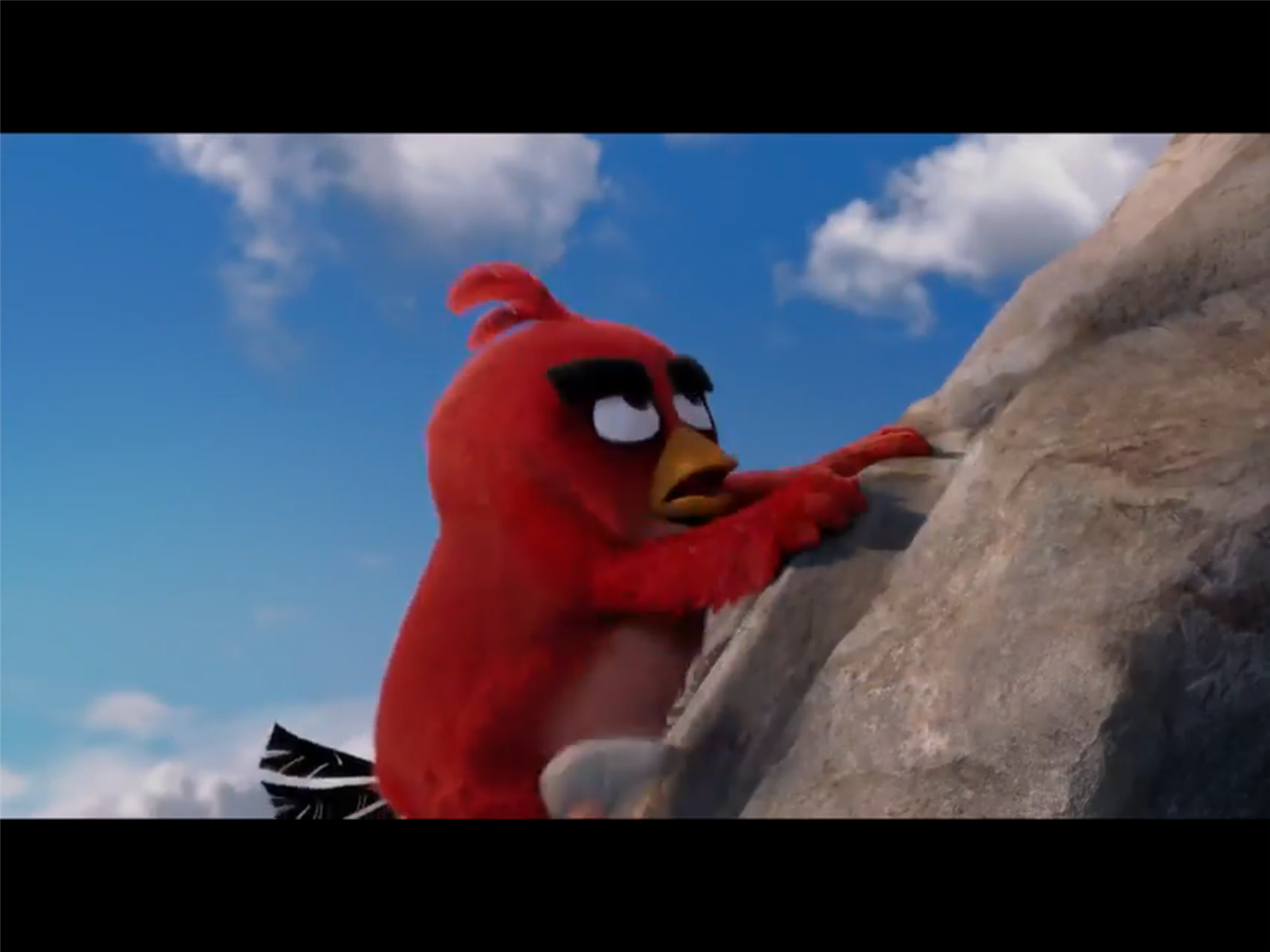 Hangi Angry Bird Sün