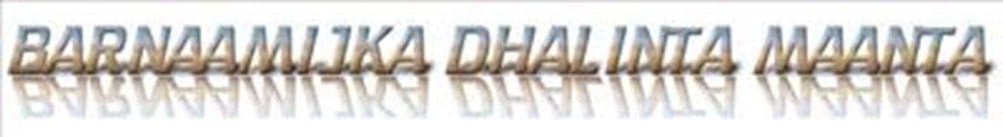 Dhalintatv