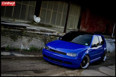 What Kind Of Vw Are You?
