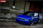 What Kind Of Vw Are You?