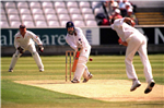 Cricket World Cup 2011