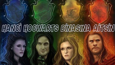 Harry potter bina testi