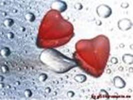 Amore