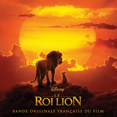 Qui Est Tu Dans Le Roi Lion 1 Et 2 