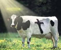 How Holy Are You?