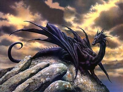 What Kind Of Dragon Are You?