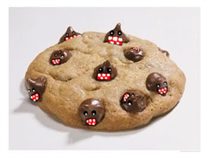 Que Galleta Eres?